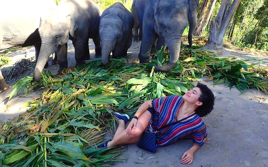 阿曼达·盖德和泰国大象