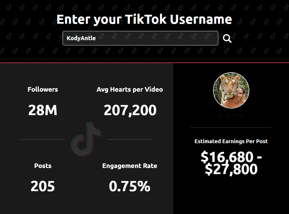 你能从TikTok上赚多少钱