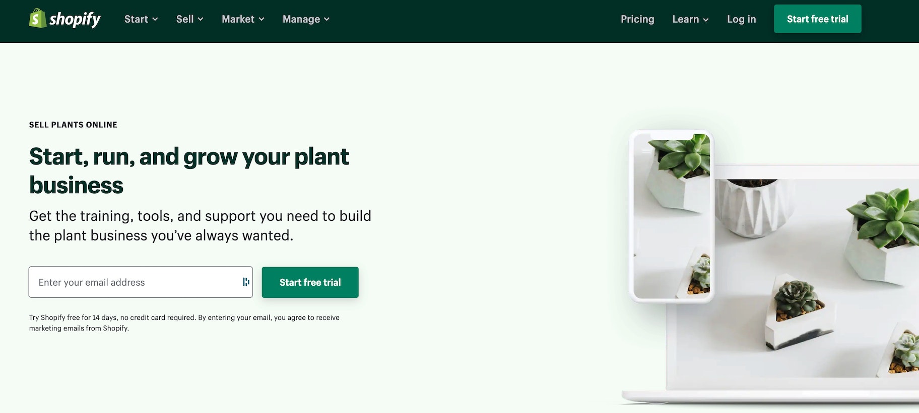 用Shopify建立一个在线植物商店
